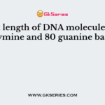 A short length of DNA molecule has 80 thymine and 80 guanine bases