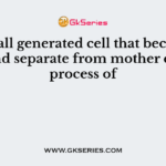 A small generated cell that becomes large and separate from mother cells is a process of