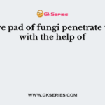 Adhesive pad of fungi penetrate the host with the help of