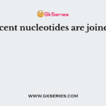 Adjacent nucleotides are joined by
