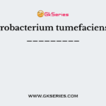 Agrobacterium tumefaciens is _________