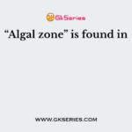 “Algal zone” is found in