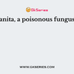 Amanita, a poisonous fungus is a