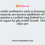 Aminoglycoside antibiotics such as kanamycin, tobramycin, neomycin are known inhibitors
