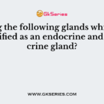 Among the following glands which can be classified as an endocrine and an exocrine gland?