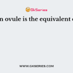 An ovule is the equivalent of