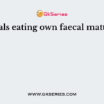Animals eating own faecal matter are