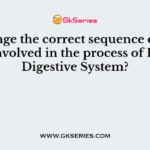 Arrange the correct sequence of the steps involved in the process of Human Digestive System?