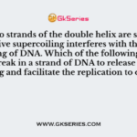 As the two strands of the double helix are separated, the positive supercoiling interferes