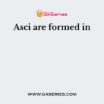 Asci are formed in