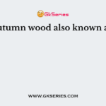 Autumn wood also known as?
