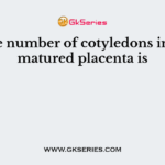 Average number of cotyledons in a fully matured placenta is