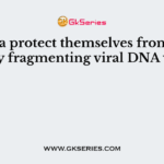 Bacteria protect themselves from viruses by fragmenting viral DNA with