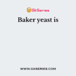 Baker yeast is