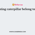 Bark eating caterpillar belong to family