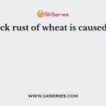 Black rust of wheat is caused by