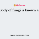 Body of fungi is known as