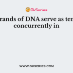 Both strands of DNA serve as templates concurrently in