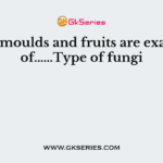 Bread moulds and fruits are examples of……Type of fungi