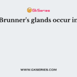 Brunner's glands occur in
