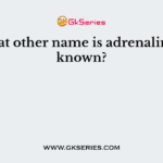 By what other name is adrenaline also known?