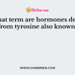 By what term are hormones derived from tyrosine also known?