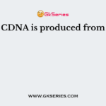 CDNA is produced from