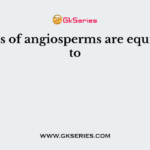 Carpels of angiosperms are equivalent to