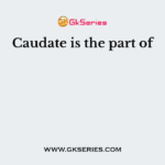 Caudate is the part of