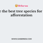 Choose the best tree species for coastal afforestation