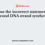 Choose the incorrect statement for second DNA strand synthesis