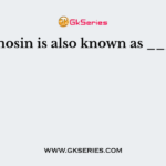 Chymosin is also known as ______