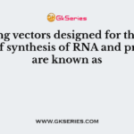 Cloning vectors designed for the purpose of synthesis of RNA and proteins are known as