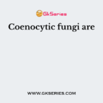Coenocytic fungi are