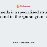 Columella is a specialized structure found in the sporangium of