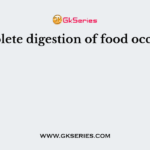Complete digestion of food occurs in