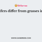 Conifers differ from grasses in the