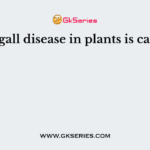 Crown gall disease in plants is caused by