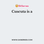 Cuscuta is a