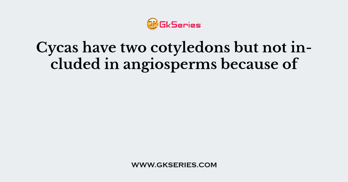 Cycas have two cotyledons but not included in angiosperms because of