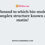 DNA is bound to which bio-molecule to form complex structure known as chromatin?