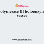 DNA polymerase III holoenzyme possesses