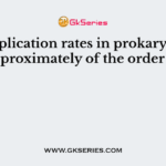 DNA replication rates in prokaryotes are approximately of the order of