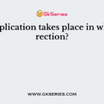 DNA replication takes place in which direction?