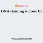 DNA staining is done by