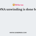 DNA unwinding is done by