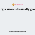 Dalbergia sisoo is basically grown in