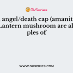 Death angel/death cap (amanita) and Jack O Lantern mushroom are all examples of
