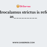 Dendrocalamus strictus is referred as_________