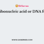 Deoxyribonucleic acid or DNA found in